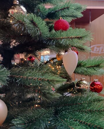 Weihnachtsbaum im BFI Salzburg